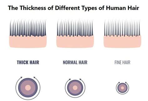 measure thickness of human hair|thickness of human hair meaning.